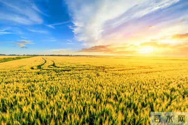 国家要给农业“立规矩”了！种地养鱼盖房子，以后都得按标准来？