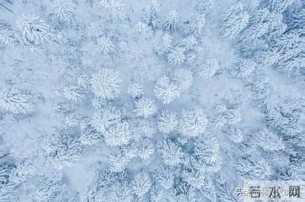 今年三九天不一般,“十年不遇”,今年冬天到底冷不冷?