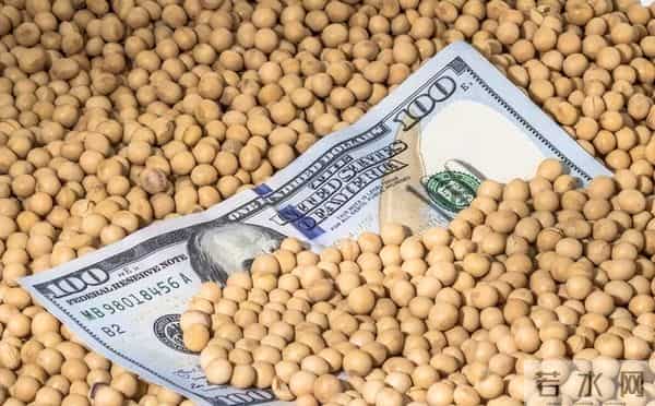 垄断中国90%粮食种子市场！美国若发动粮食战争，我们还有饭吃吗