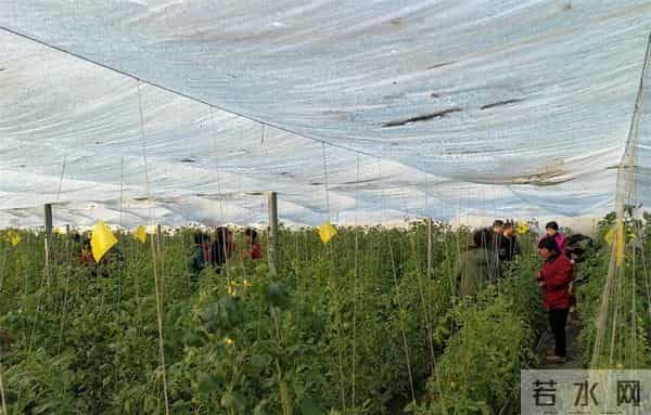 邯郸这4条旅游线路被全省推荐！走起~