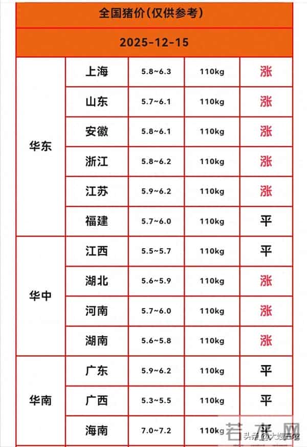 【明日猪价】12月15日继续上涨，冬至快到了，猪价会继续反弹吗