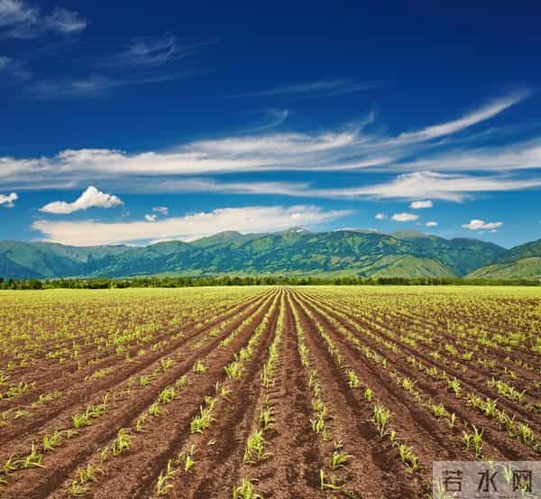 中央定了！农业要大改，2000万新农人入场