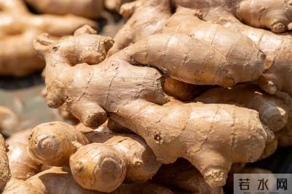 12月13日姜价暴涨！库存告急+冬补抢货，姜农储商该出手吗？