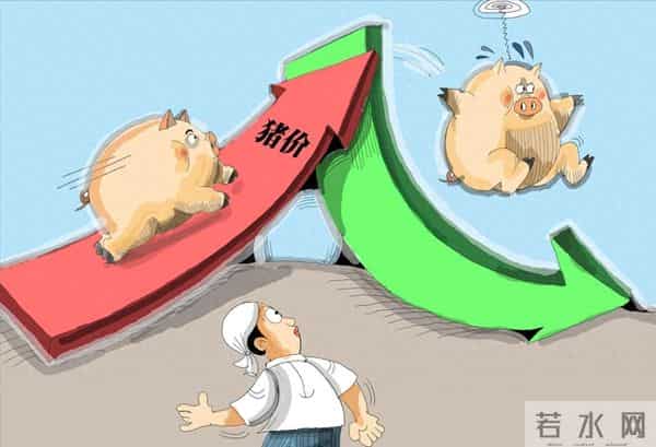 猪肉价格下跌7.5%，冬至、元旦将至，猪肉价格“超预期”上涨？