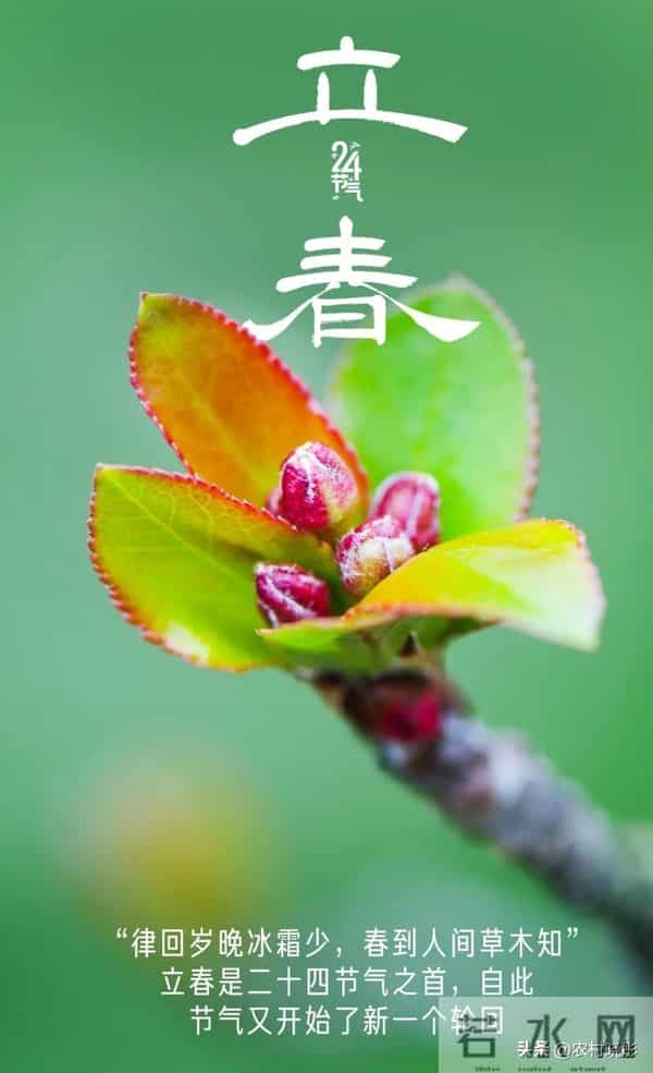 2026立春撞上六九头！老话说“双春”遇上暖开头，有啥讲究？