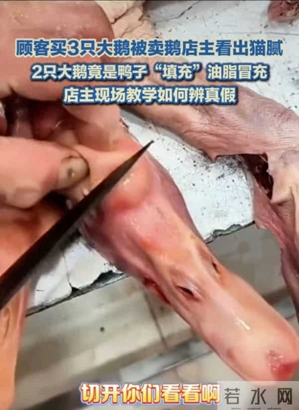 警惕！你买的“大鹅”可能不是鹅！揭秘市场新型“冒牌货”陷阱！