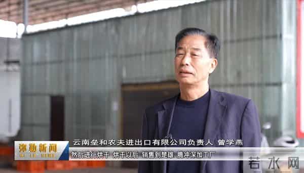 试种成功！弥勒的她年增收30万