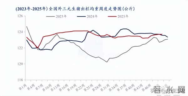 【今日猪价】12月14日 生猪价格继续反弹，十五个省份猪价上涨！