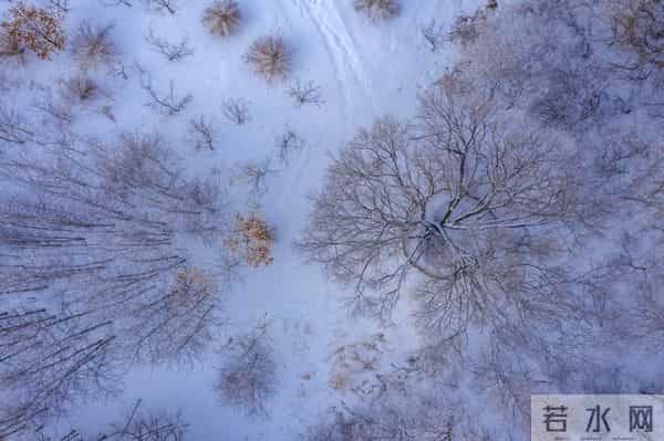 今年三九不一般，“三九在冬，单衣过冬”，今冬冷不冷？早了解