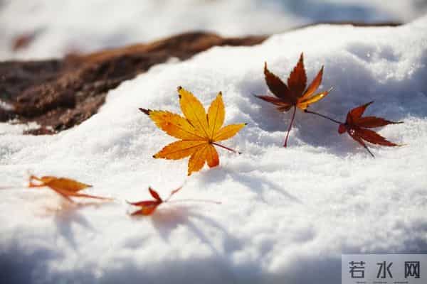 21号入九，今年入九不一般，总结“3大特点”，今冬会很冷吗？