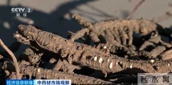 还没采摘，就被订购一空！这些产品成香饽饽！千亿级风口，来了