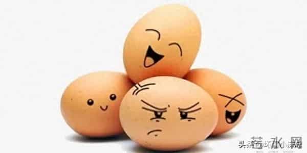 12月12日全国鸡蛋价格报价参考