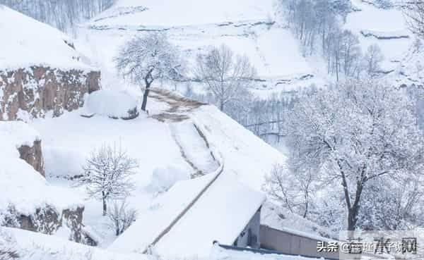 今年冬至在“夜晚”！老话“夜晚冬至雪堵门”，今冬会极冷吗？