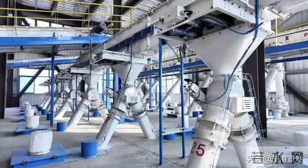 预计年产值超6亿元！贵港这一项目正式投产