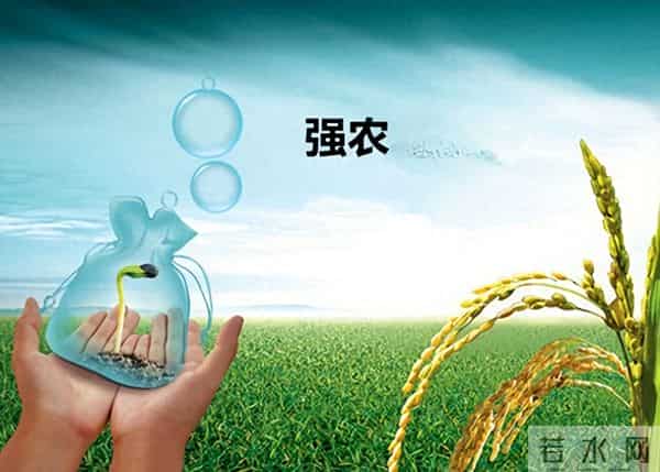 中央定调!未来五年农业这么干,件件关乎咱老百姓钱袋子和饭碗