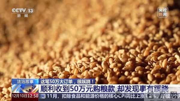 湖北襄阳一粮食经纪人发布卖粮短视频，遭遇新型“购粮洗钱”骗局，警方披露细节