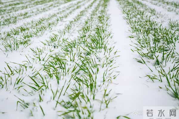老话“十月廿三早看天”，明日十月廿三杨公忌，有啥说法？了解下