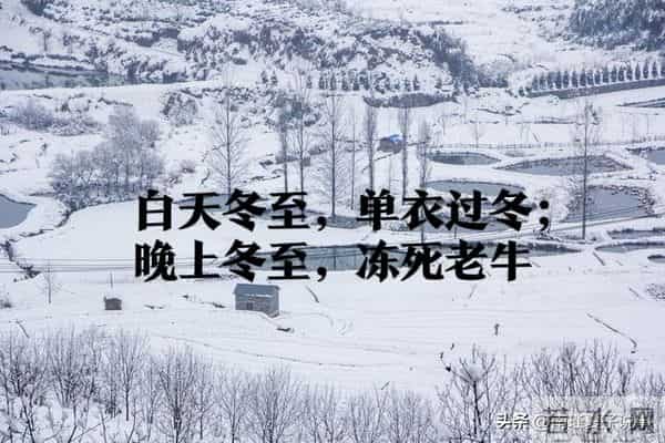 21号冬至！老话说“晚上冬至，冻死老牛”，今冬偏冷？看农谚咋说