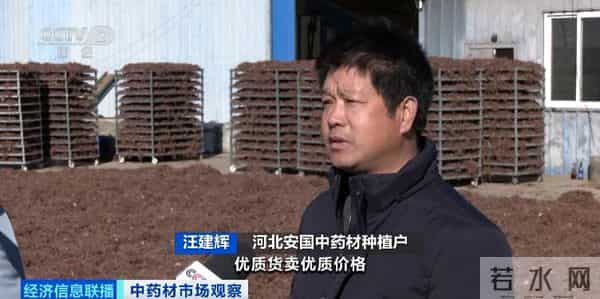 还没采摘，就被订购一空！这些产品成香饽饽！千亿级风口，来了