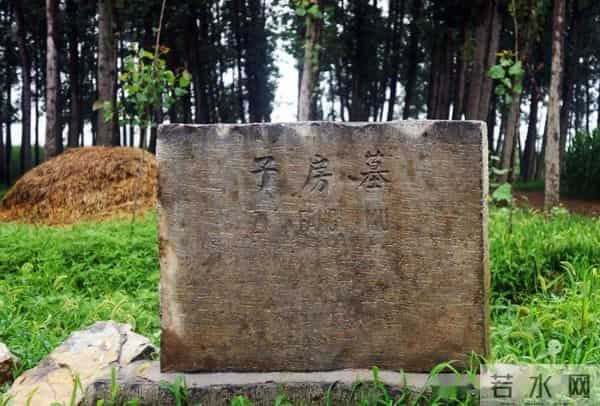 郓城县侯咽集镇子房墓村