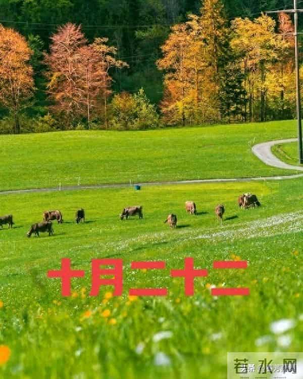 明日十月廿二，牢记1不出2不做3不问保平安！