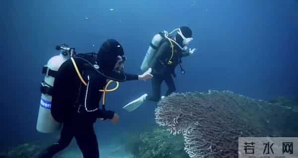 “年入20万”诱惑下，人们涌入河道淘金