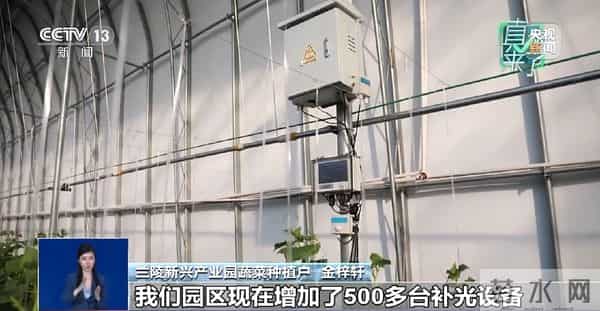 网传“反季节蔬菜吃了等于白吃”是真的吗？专家辟谣