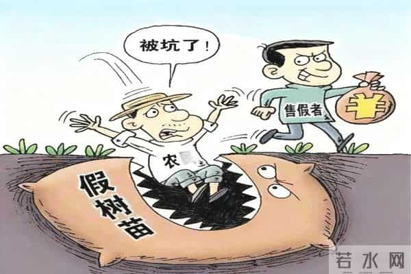 种苹果不挣钱？不妨种点英格兰山楂，8~9年后，一棵能卖10000多