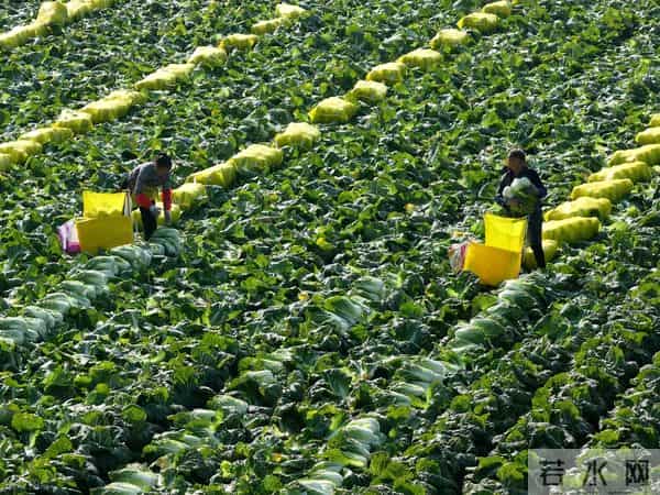 温铁军：三重矛盾叠加“三泡”危机，如何治标又治本？