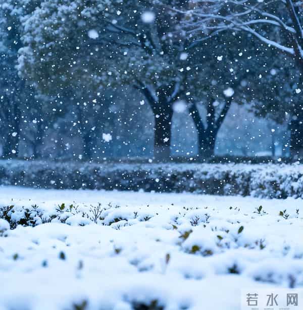 今年三九天，"十年不遇"，今年冬天到底会不会冷？