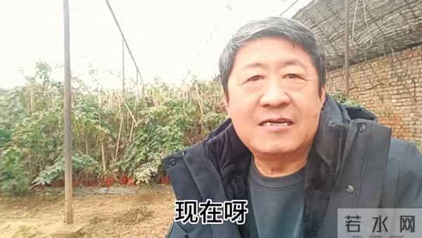 如果不出去打工，只在农村挣钱，到底难不难？