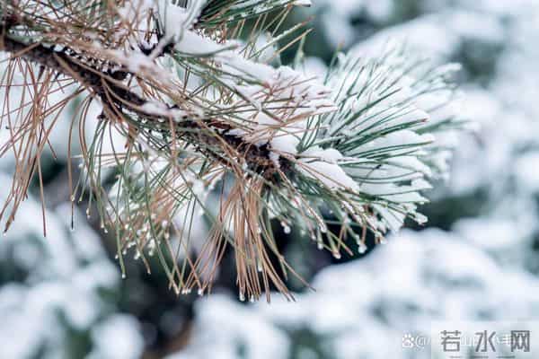 “三九冷不冷，就看十月廿三”，今日十月廿三，今年会是寒冬吗？答案来了！