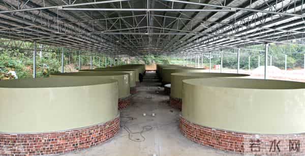 总投资63．9亿元！这座“智慧渔城”正在柳江拔节生长