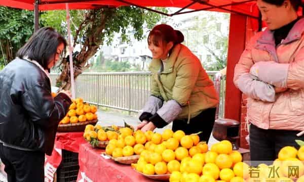 1.8万余亩，成熟上市啦！遵义人千万不要错过