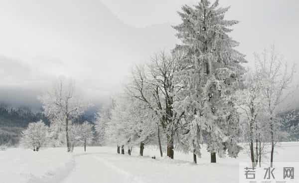 冬至入九已定,三九最冷在一月中、春节落在七九期、立春赶上六九头,保暖与出行这几点别忽视