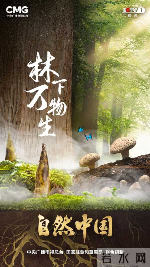 6.5亿亩林地、1万亿产值！林下万物给出的中国答案