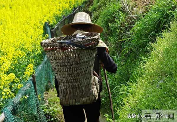 农村很多有儿有女的老人，过得比五保户还难！