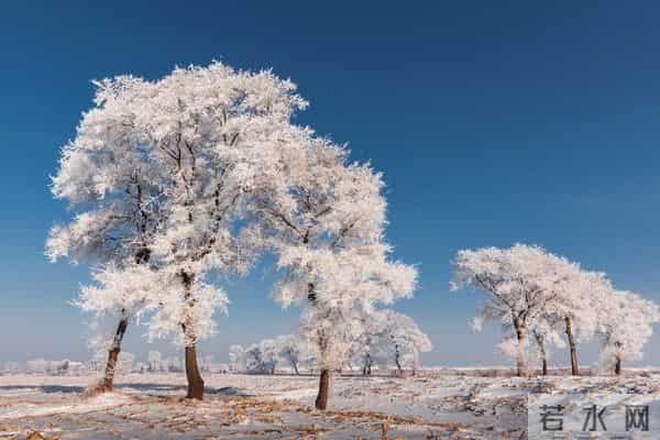 23点03分冬至，老话“冬至在月头，雪多冻死牛”，今冬寒冷吗？