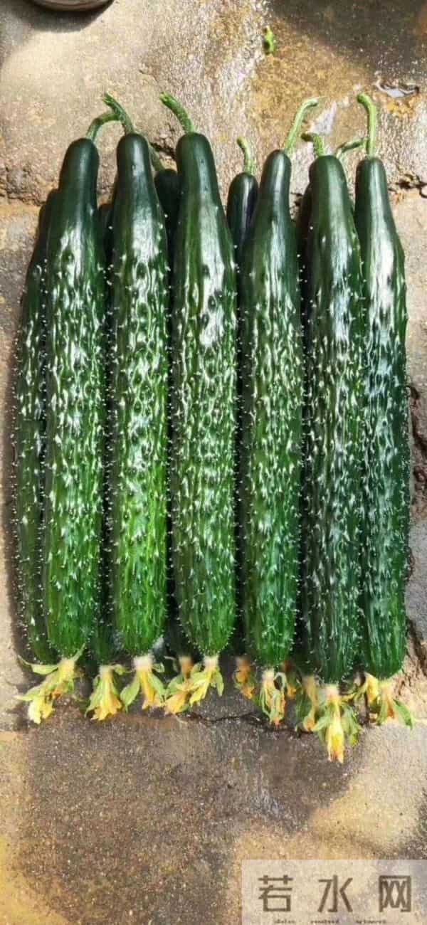 冬天这5种菜千万别买！农残超标伤肝肾，很多人天天吃