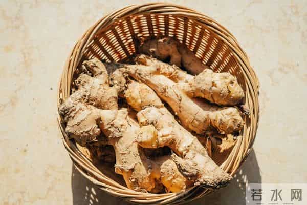 12月13日姜价暴涨！库存告急+冬补抢货，姜农储商该出手吗？