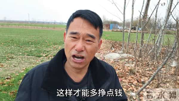 手里有玉米别急卖，还能涨玉米又涨价了！