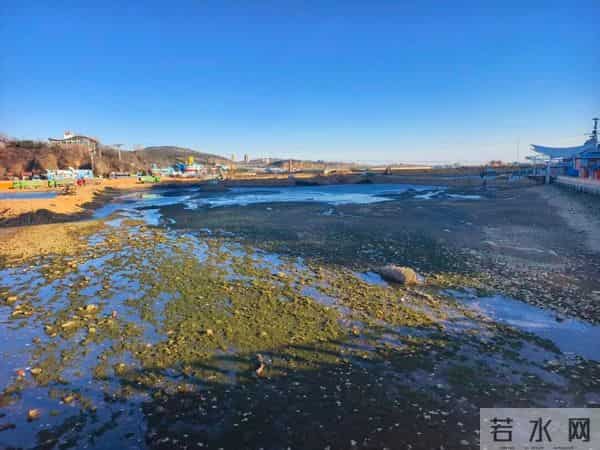 虎滩湾正在施工，建码头填海干养殖？别猜了，疏浚清淤！