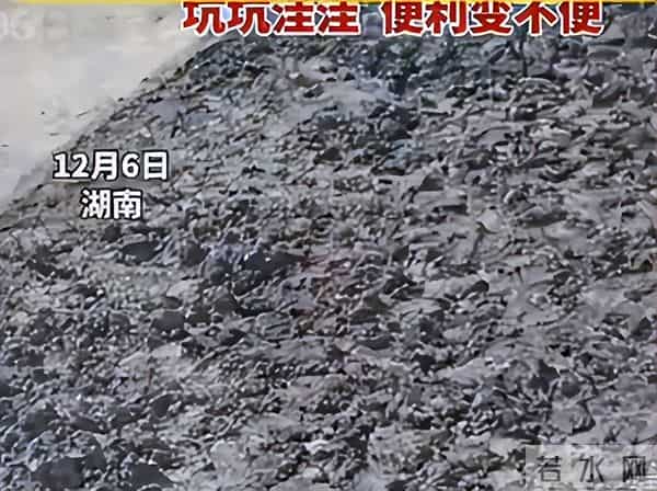 老太破坏水泥路后续:原因曝光,老太很委屈,村干部曝更多隐情