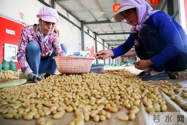 中央定调!未来五年农业这么干,件件关乎咱老百姓钱袋子和饭碗