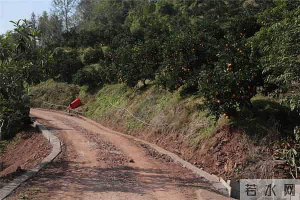 “路通了,心安了!” 云阳“双路”并进惠民生