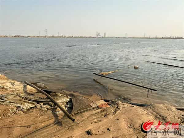 郓城县郭屯镇车楼村：“塌陷区”变“聚宝盆” 特色水产养殖激活乡村振兴一池春水