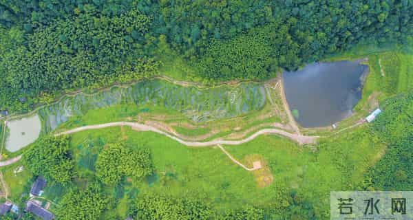 喜报！梁平一项目获国际奖项