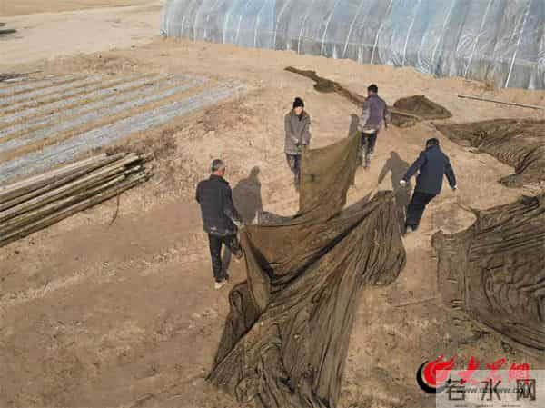 郓城县郭屯镇车楼村：“塌陷区”变“聚宝盆” 特色水产养殖激活乡村振兴一池春水