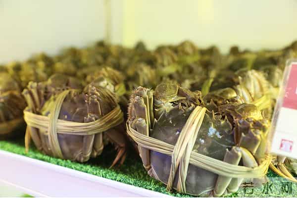 当美味遭遇生态恐慌：大闸蟹的全球化生存悖论