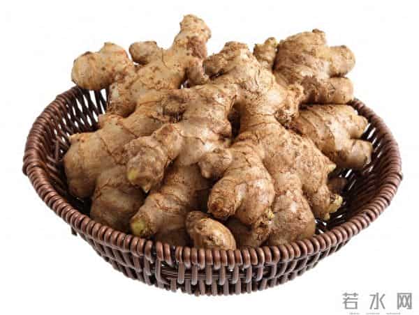 12月13日姜价暴涨！库存告急+冬补抢货，姜农储商该出手吗？